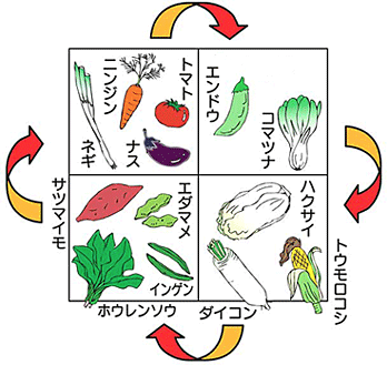 連作障害の基礎知識 家庭菜園 ｊａ愛知西