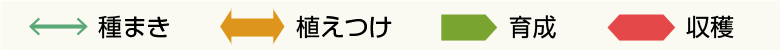 家庭菜園とは